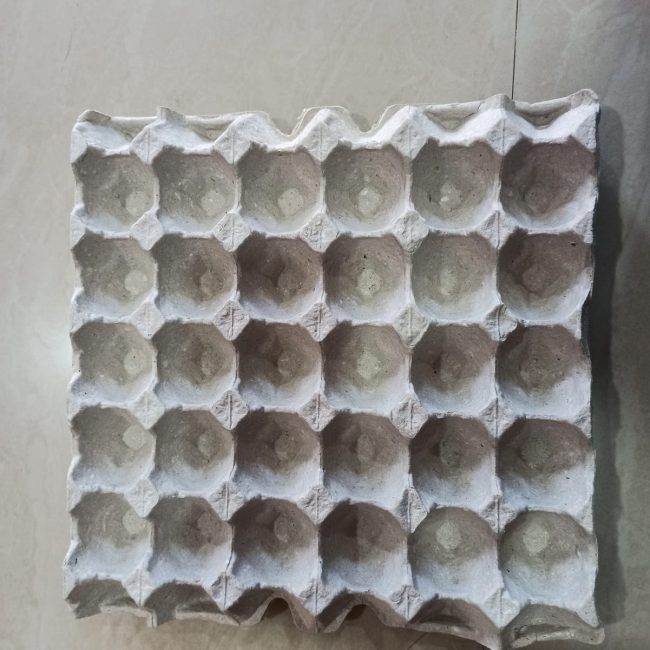 WhatsApp Image 2024-02-18 at 5.59.25 PM