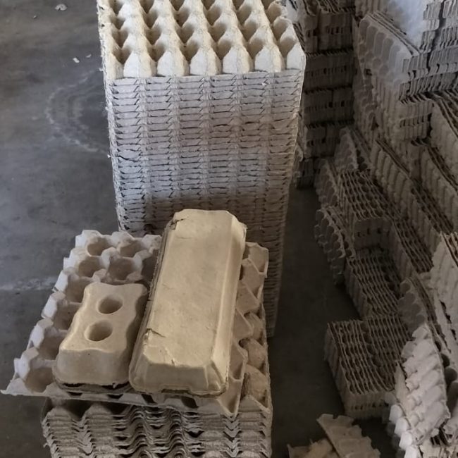 WhatsApp Image 2024-02-18 at 6.00.16 PM